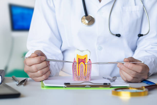 Best Dental Abscess Treatment in North Tunica, MS